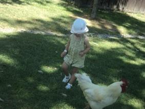 Isabelle chasing chicken